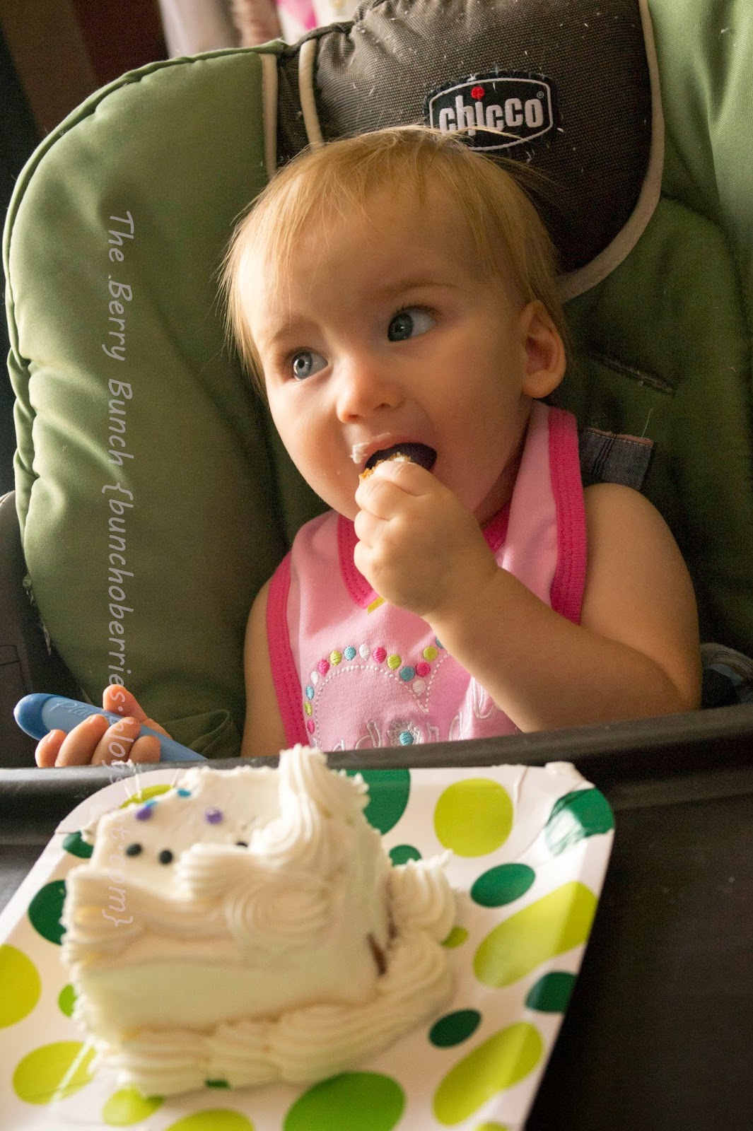 The Berry Bunch: Baby Girl is 1! {Happy Birthday!}