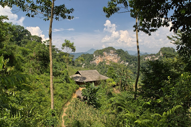 Vietnam shines in RCI’s list of great eco-friendly destinations for World Earth Day