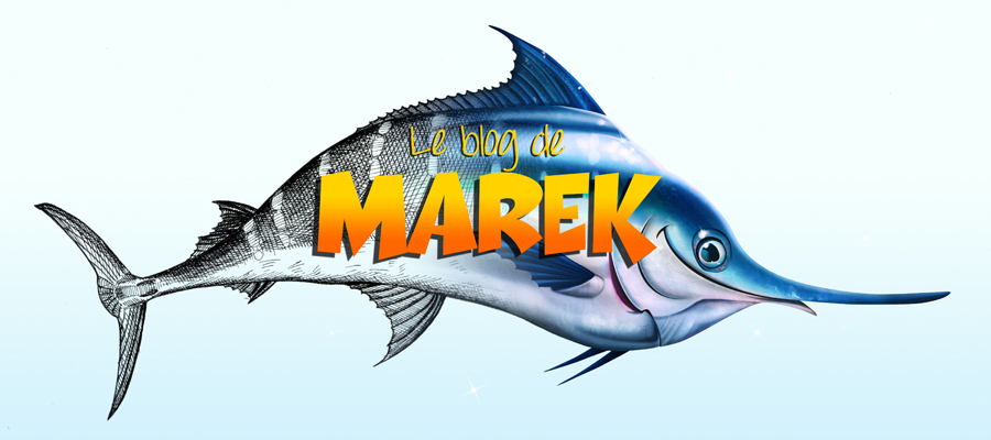 le blog de Marek