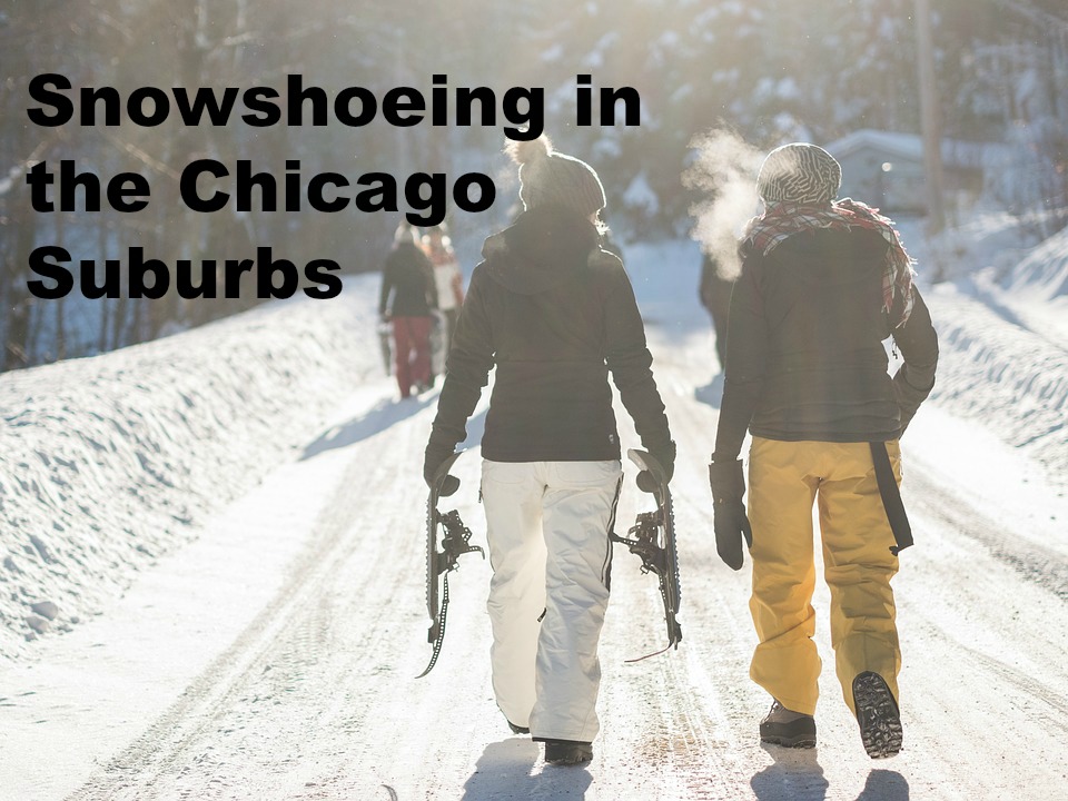 A Little Time and a Keyboard Snowshoeing in Chicago Suburbs
