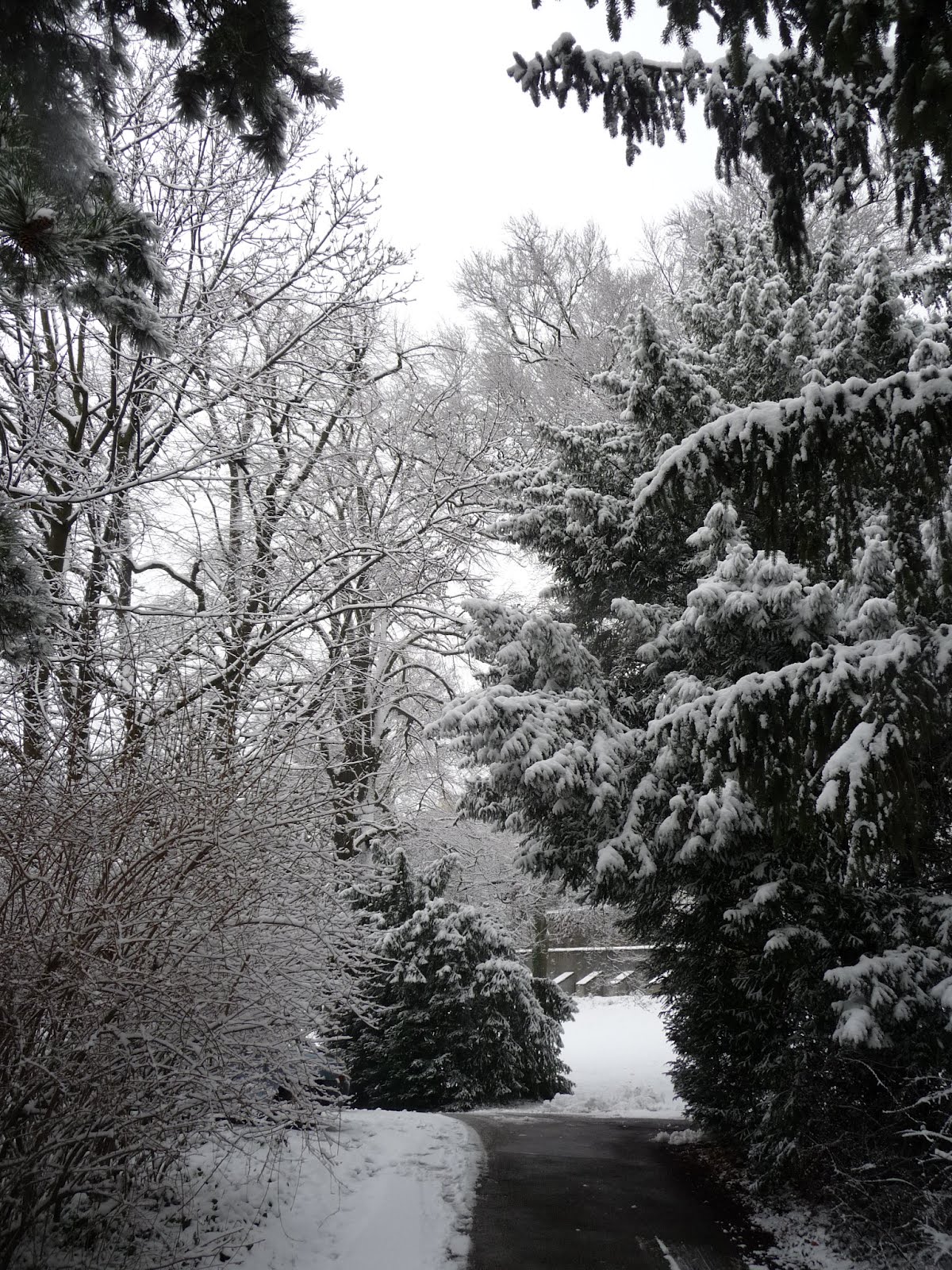 Les personnages de la ficelle et leurs roles