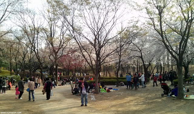 Imagen del Gran Parque de los Niños de Seúl