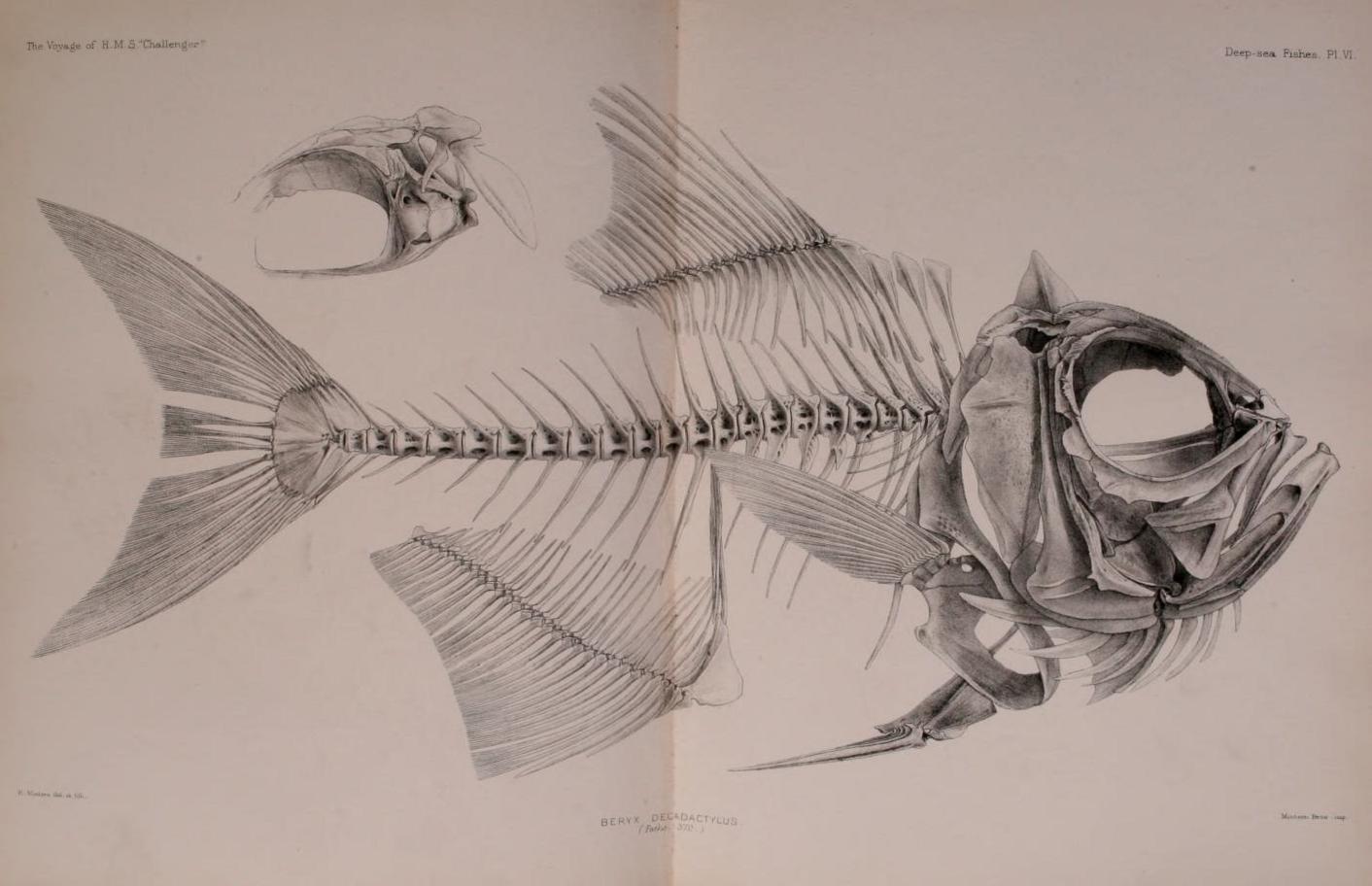 BiblioBytes: The Harold T. Clark Library Blog