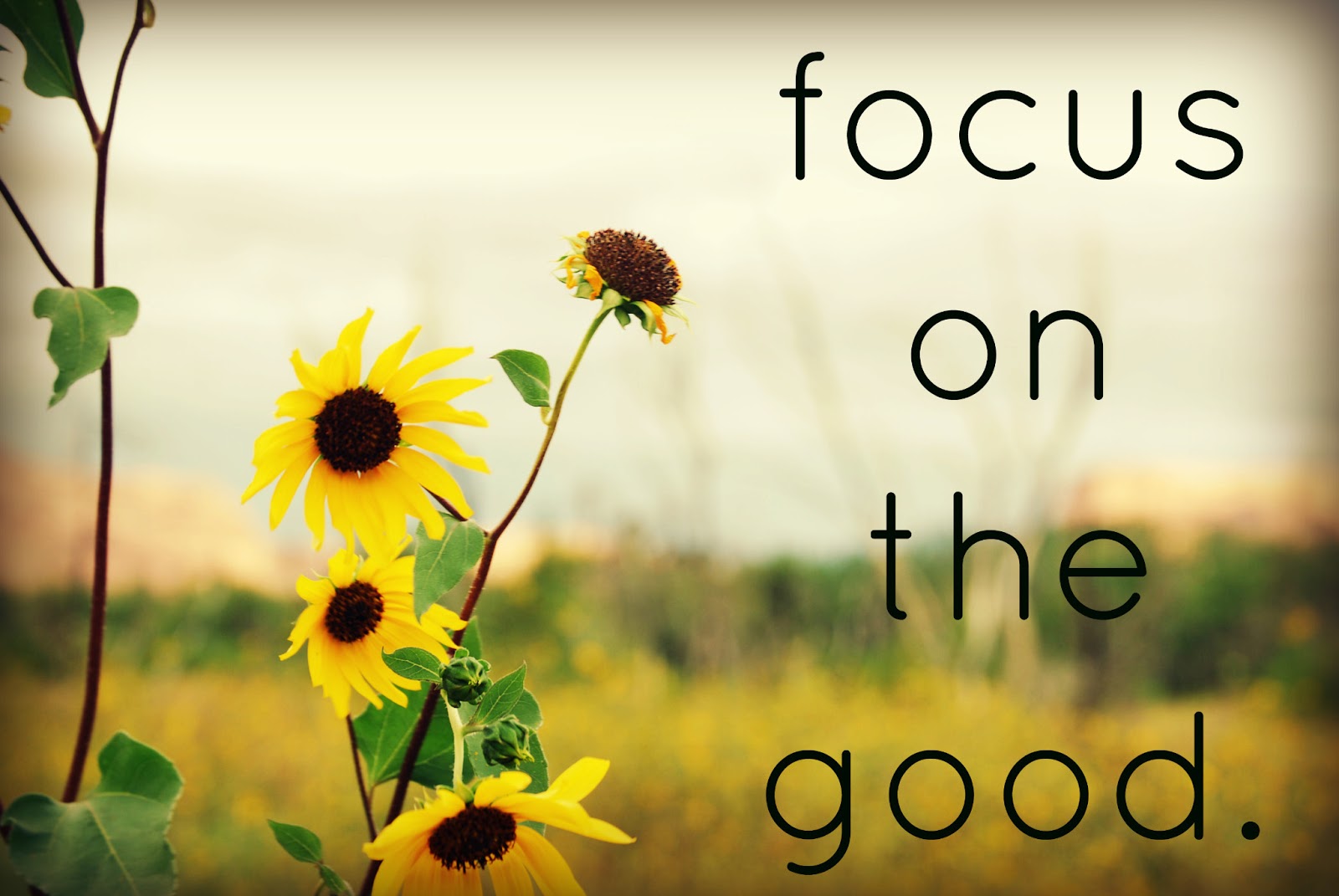 craft .. play .. love: focus on the good