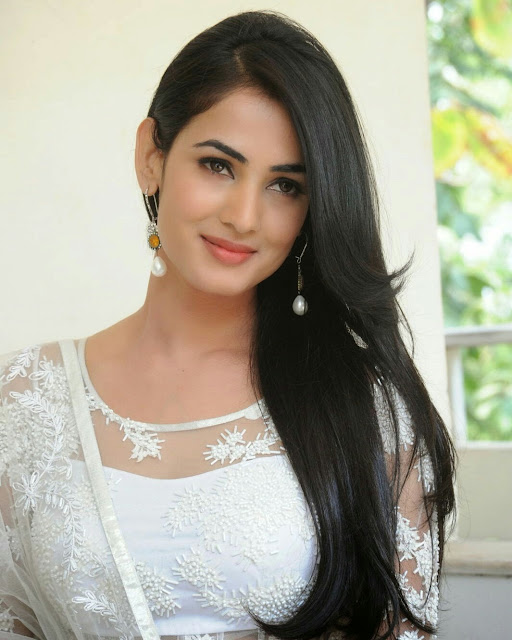 Sonal Chauhan to Play a Dancer 