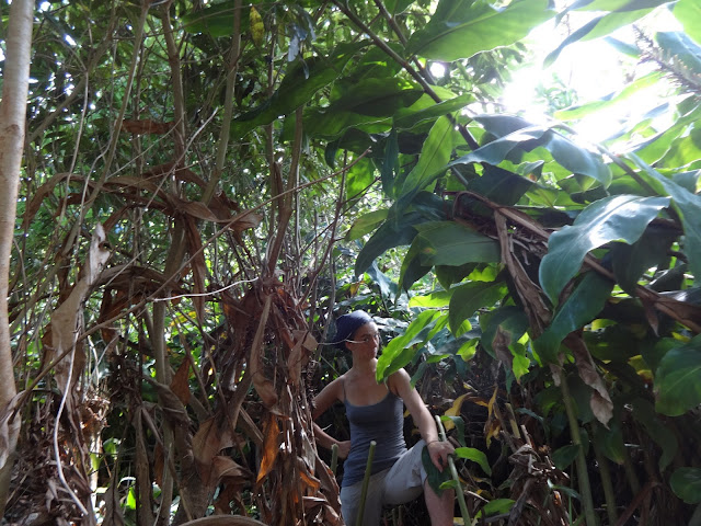 wwoofportugal brings us great helpers