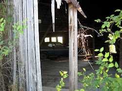 texas hill gay adventures town coop chicken