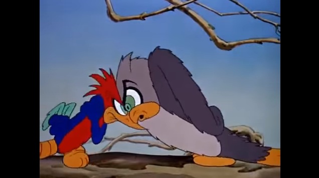 Film Kartun Woody Woodpecker | kartun woody woodpecker download anime dan film kartun Film Kartun Woody Woodpecker | kartun woody woodpecker download anime dan film kartun