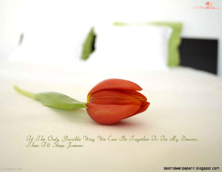 » beautiful love quotes wallpapers free