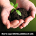 How to Cope with the Pollution of Soils | Waste Solution