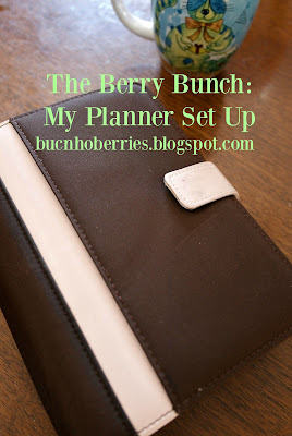 Living Intentionally: My Planner Set Up: The Berry Bunch