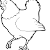 Coloring Pages Of Chicks