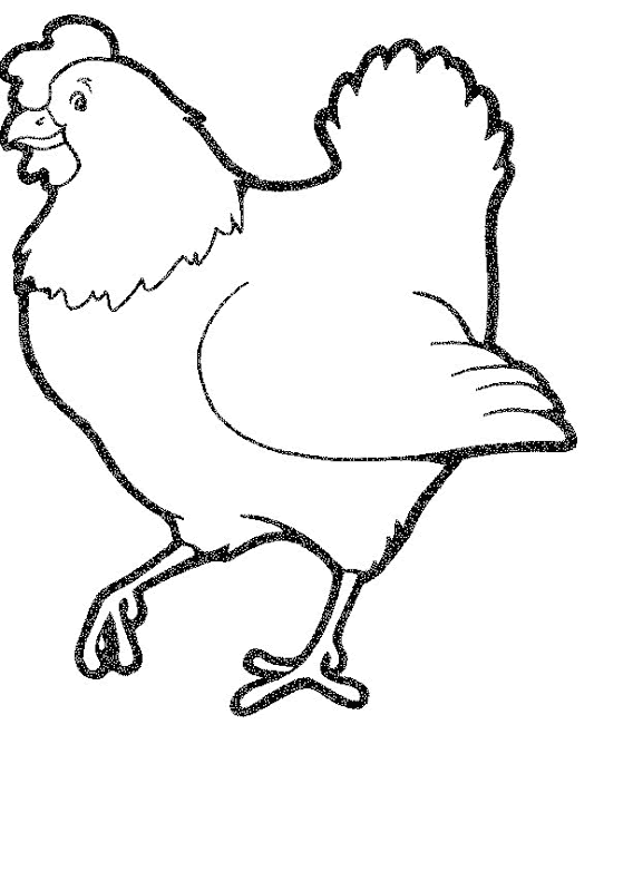 Animals Hen Coloring Pages : Chickens For Food title=