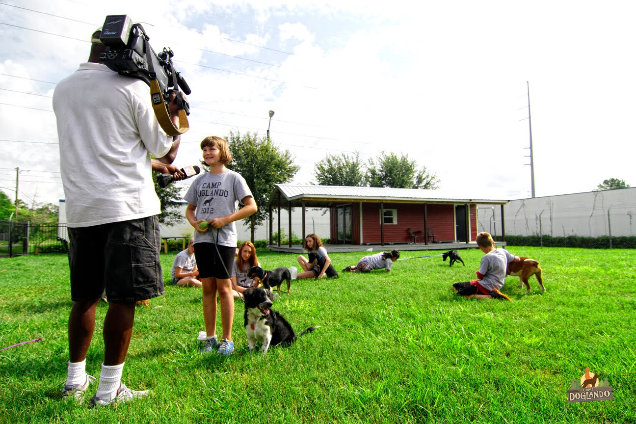 The Doglando Blog Orlando Dog Grooming Orlando Dog Training Dog