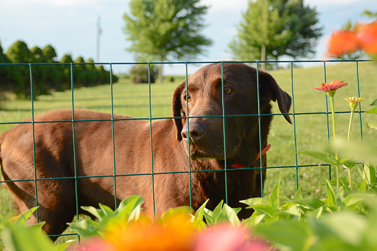 Grace monster | My Darling Days Grace monster | My Darling Days