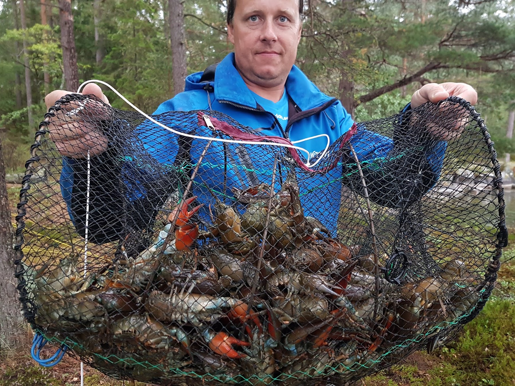 . Kräftfiske på Vättern