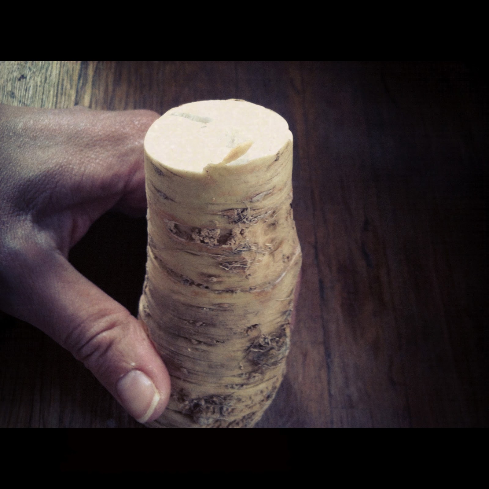 Junky Nurse Horseradish & Leeks Pasta Bake