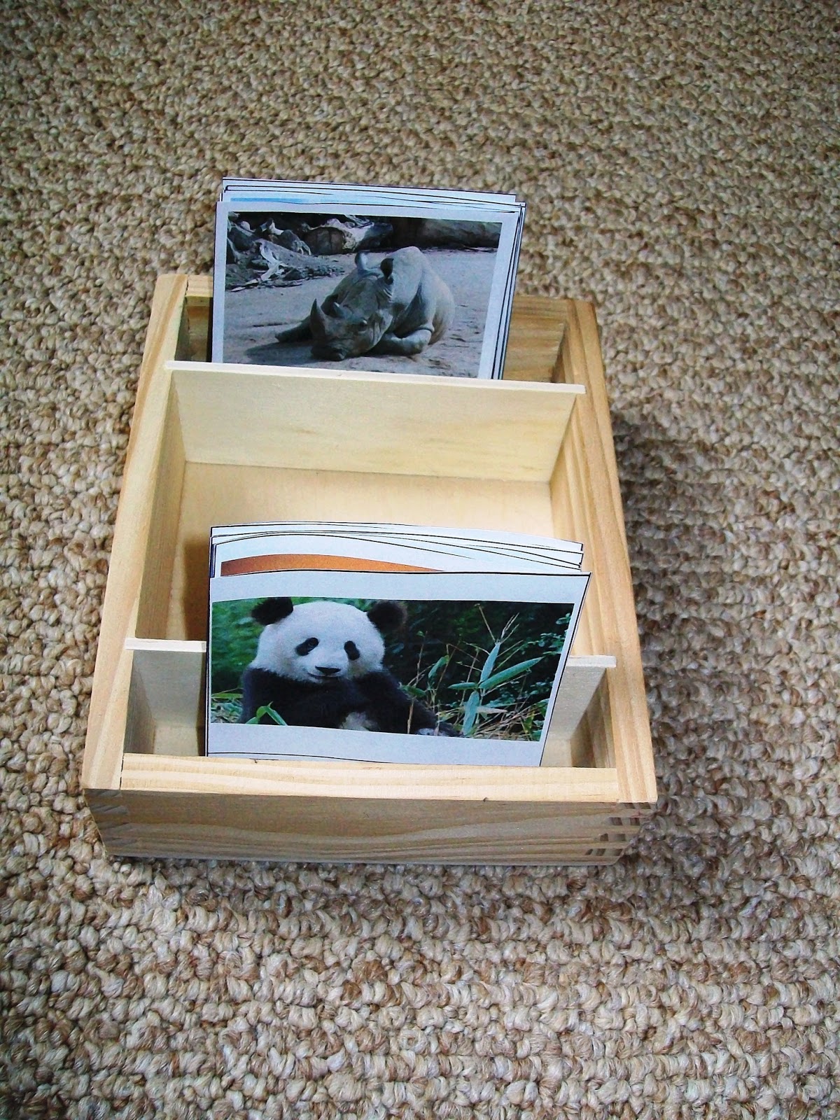 Earth Day Unit Endangered Species and Habitats with Free Printables