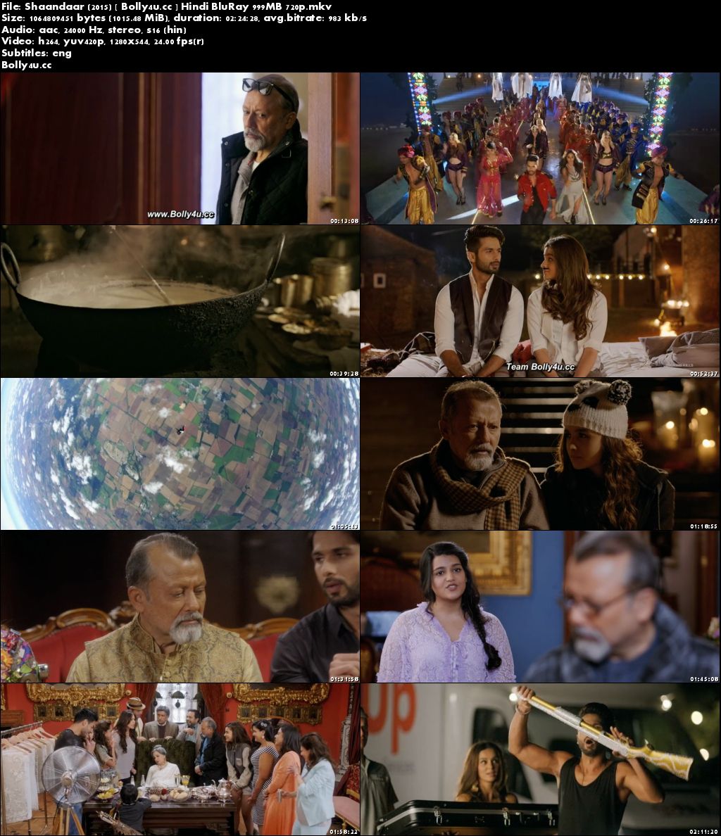 Shaandaar 2015 BluRay 400MB Full Hindi Movie Download 480p