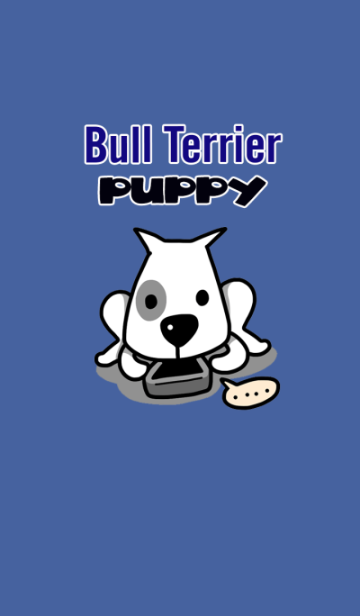 Bull Terrier Puppy