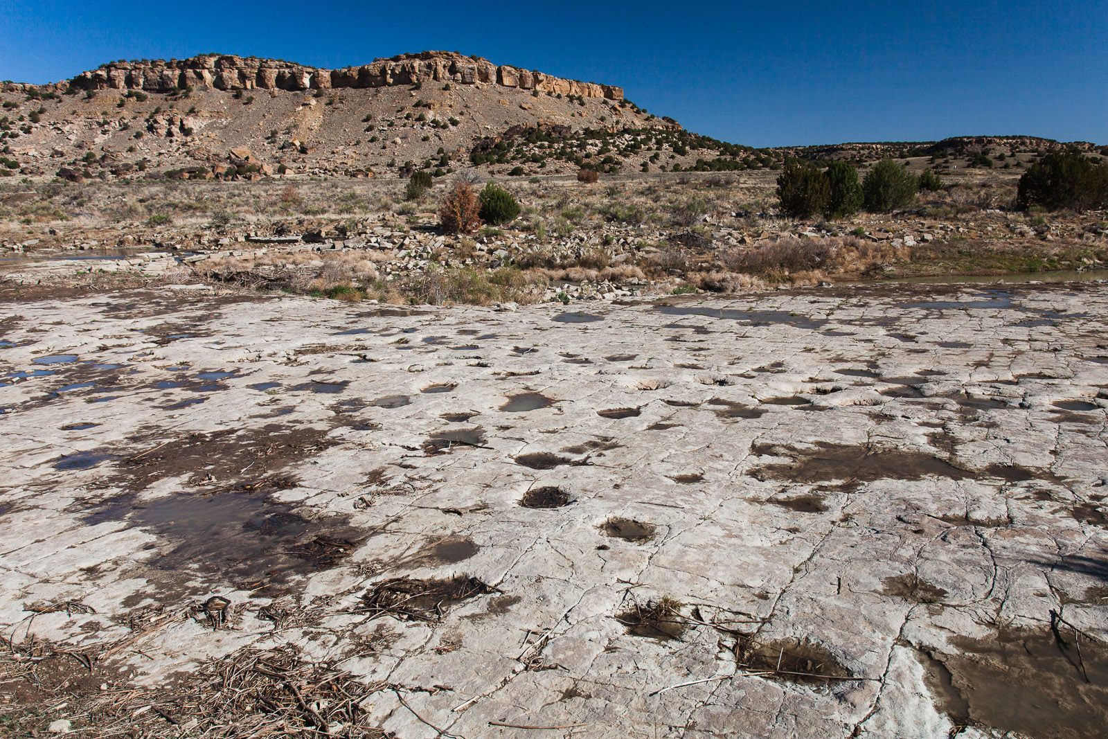 Calling All Paleontologists! 10 Places to Find Fossils in Colorado