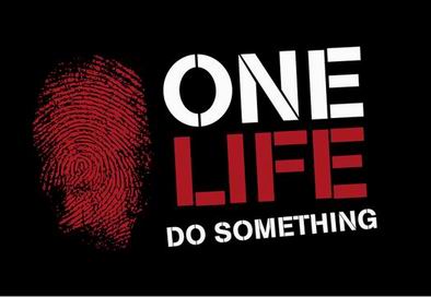 sarah wilson this one wild and precious life sarah wilson this one wild and precious life