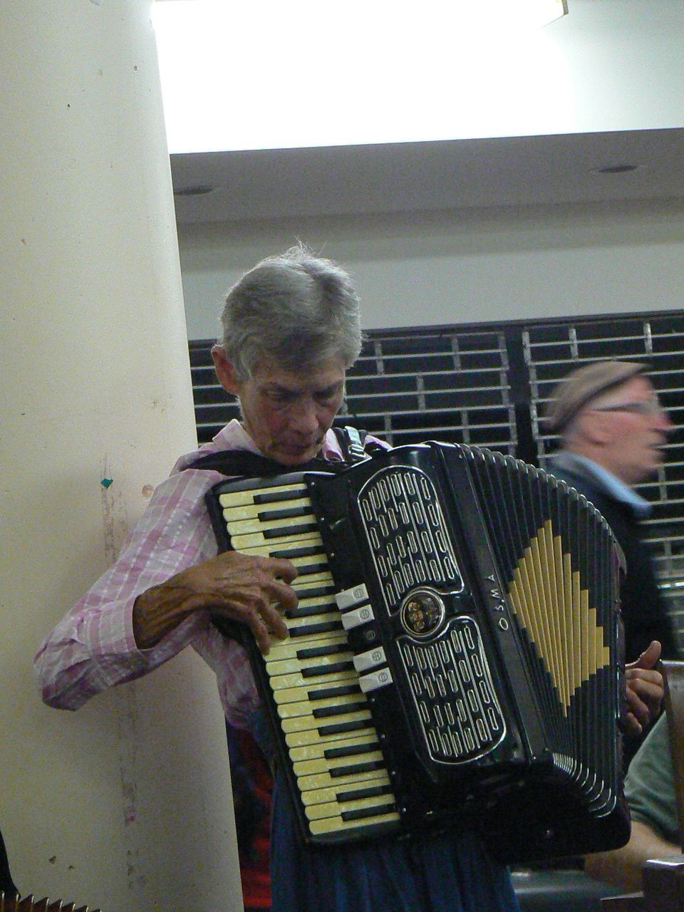 The Bush Music Club Accordion Masterclass, Saturday 17th February, 2018, Canada Bay Club.