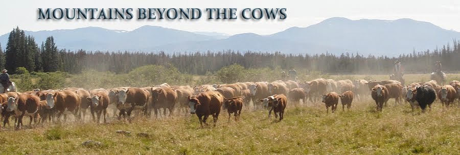 Mountains Beyond The Cows