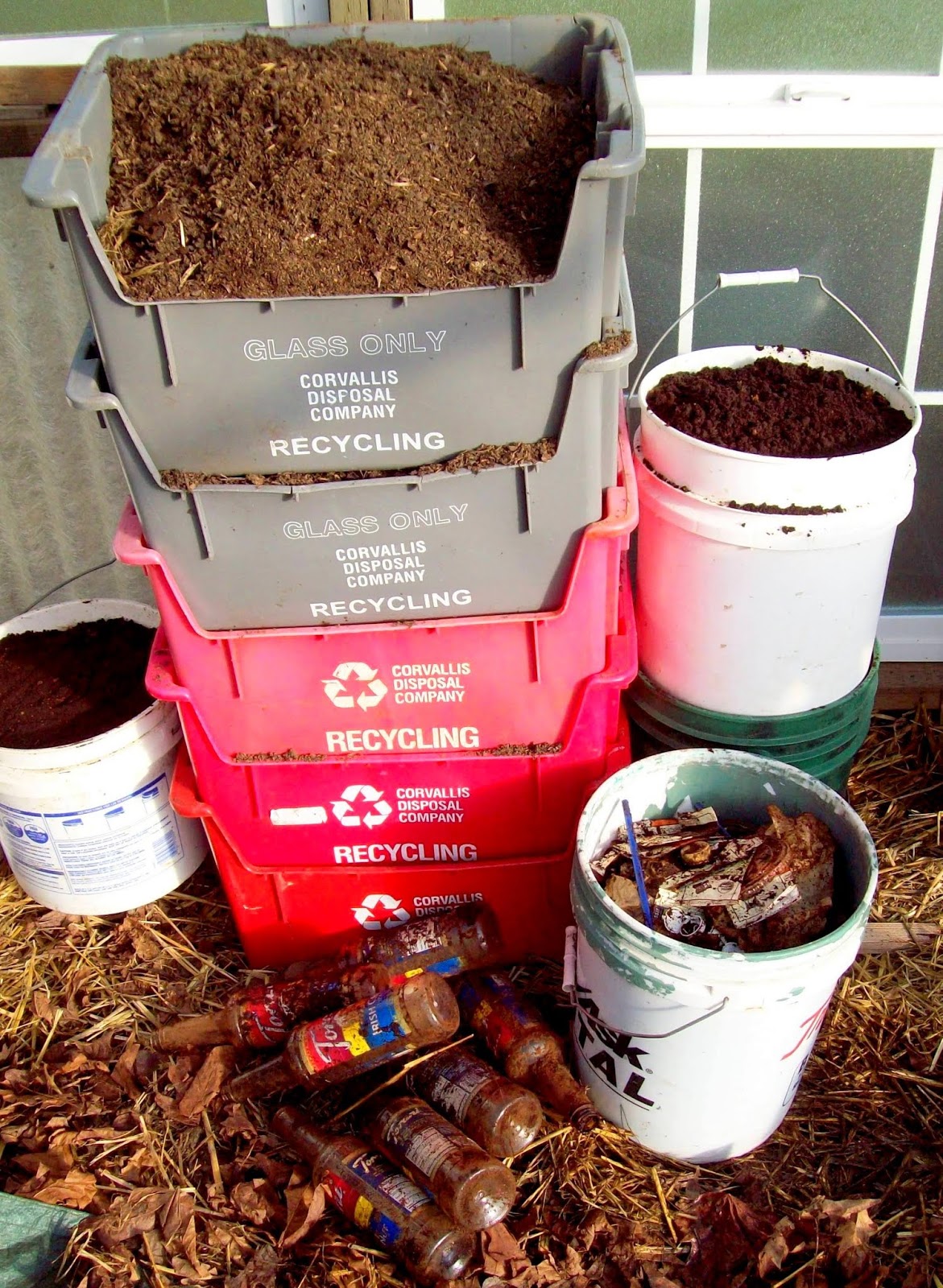 The Sharing Gardens Coffee Grounds and Wood Ash for Soil Fertility
