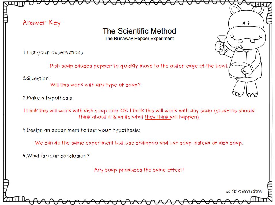 Scientific Method For 1st Graders