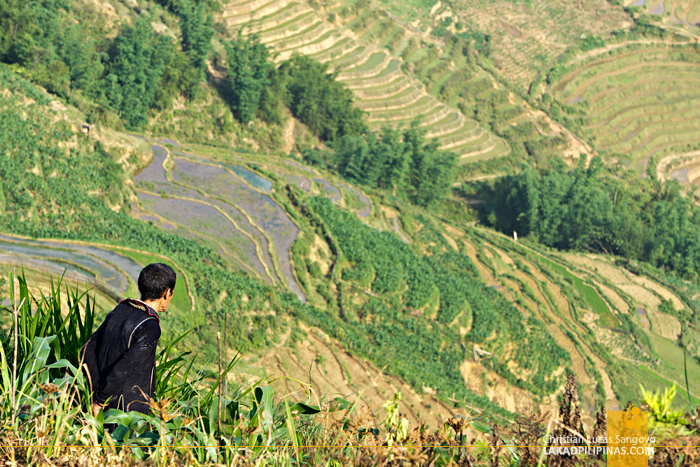 Easy Hike Rice Terraces Sapa Vietnam