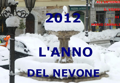 2012 L'ANNO DEL NEVONE