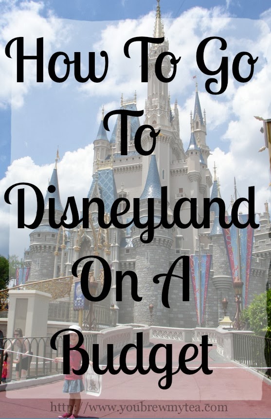 Going to disneyland on a budget