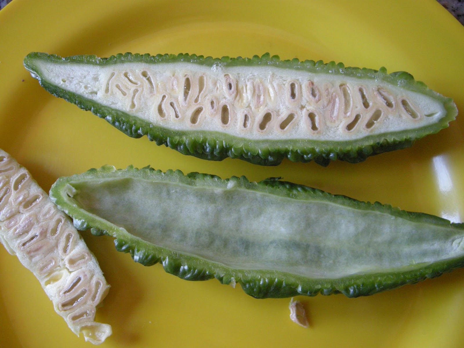 スペインdeグルメ Gourmets caseros en España Melón amargo ゴーヤ