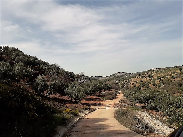 Olive Grove Track, Sierra Sur de Jaén