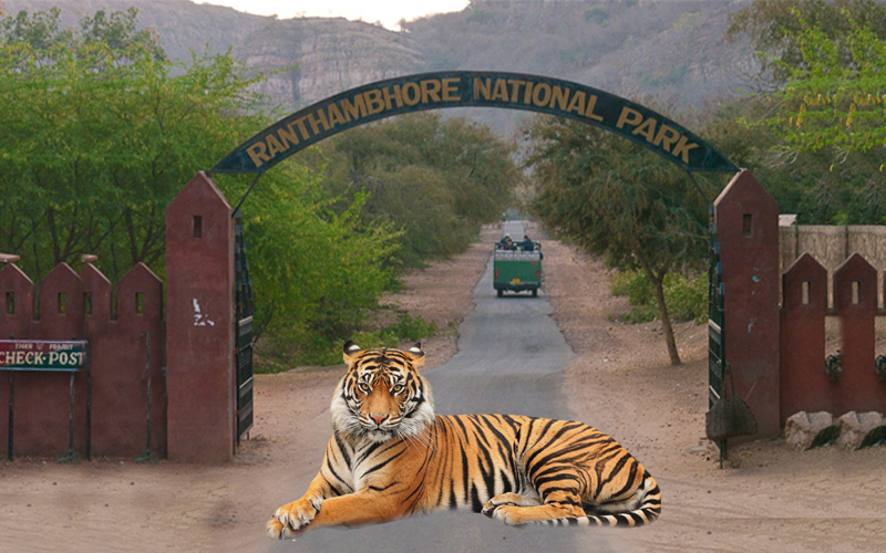 Aao Dekhe Duniya ki Khubsurti: Ranthambore National Park can brief you on  the wildlife
