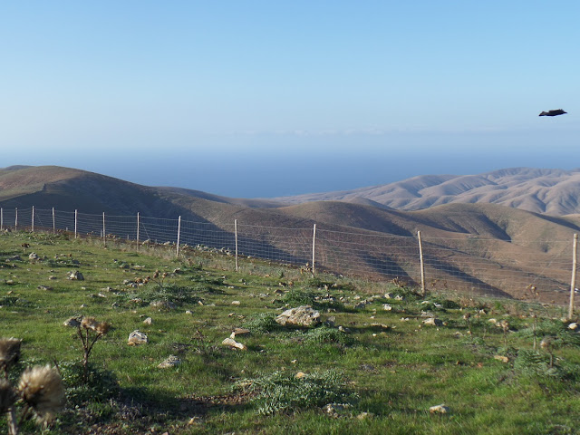 Photo during a Road Trip around Fuerteventura