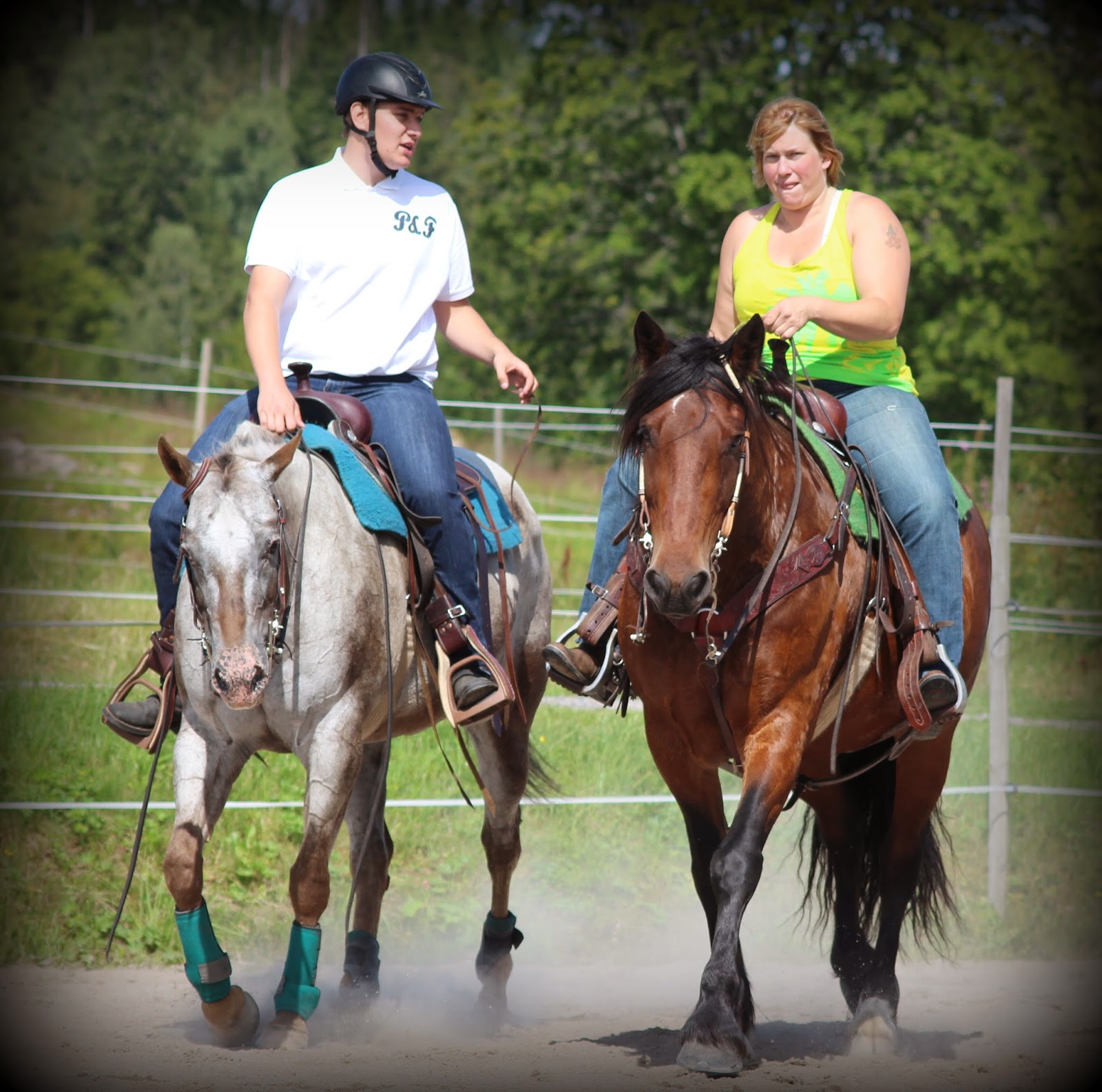 Creanimalphotos Horse Clinic )