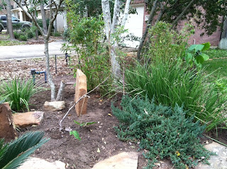 Jason's Japanese Gardens: Front Yard - Japanese Garden