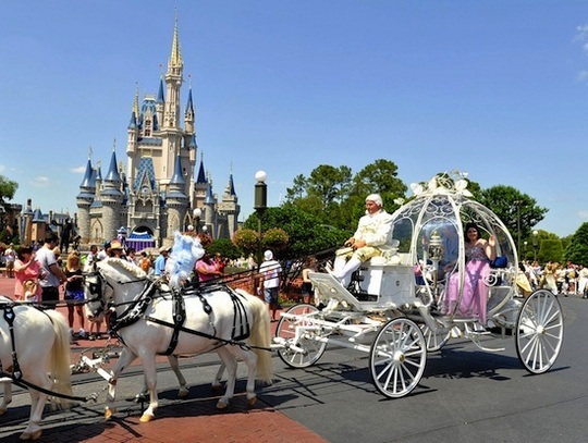 Top 14 Enchanting Cinderella Wedding Carriages For Your Sacred And