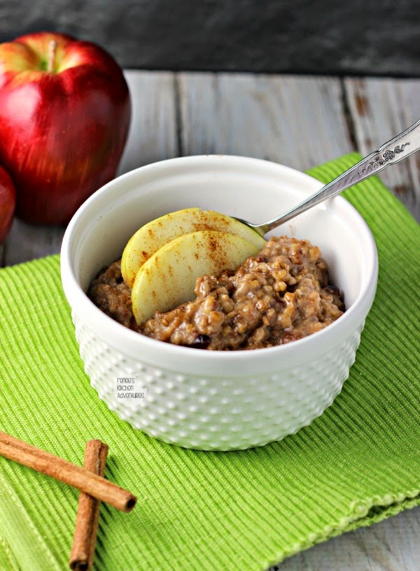 Slow Cooker Apple Cranberry Steel Cut Oats Renee's Kitchen Adventures