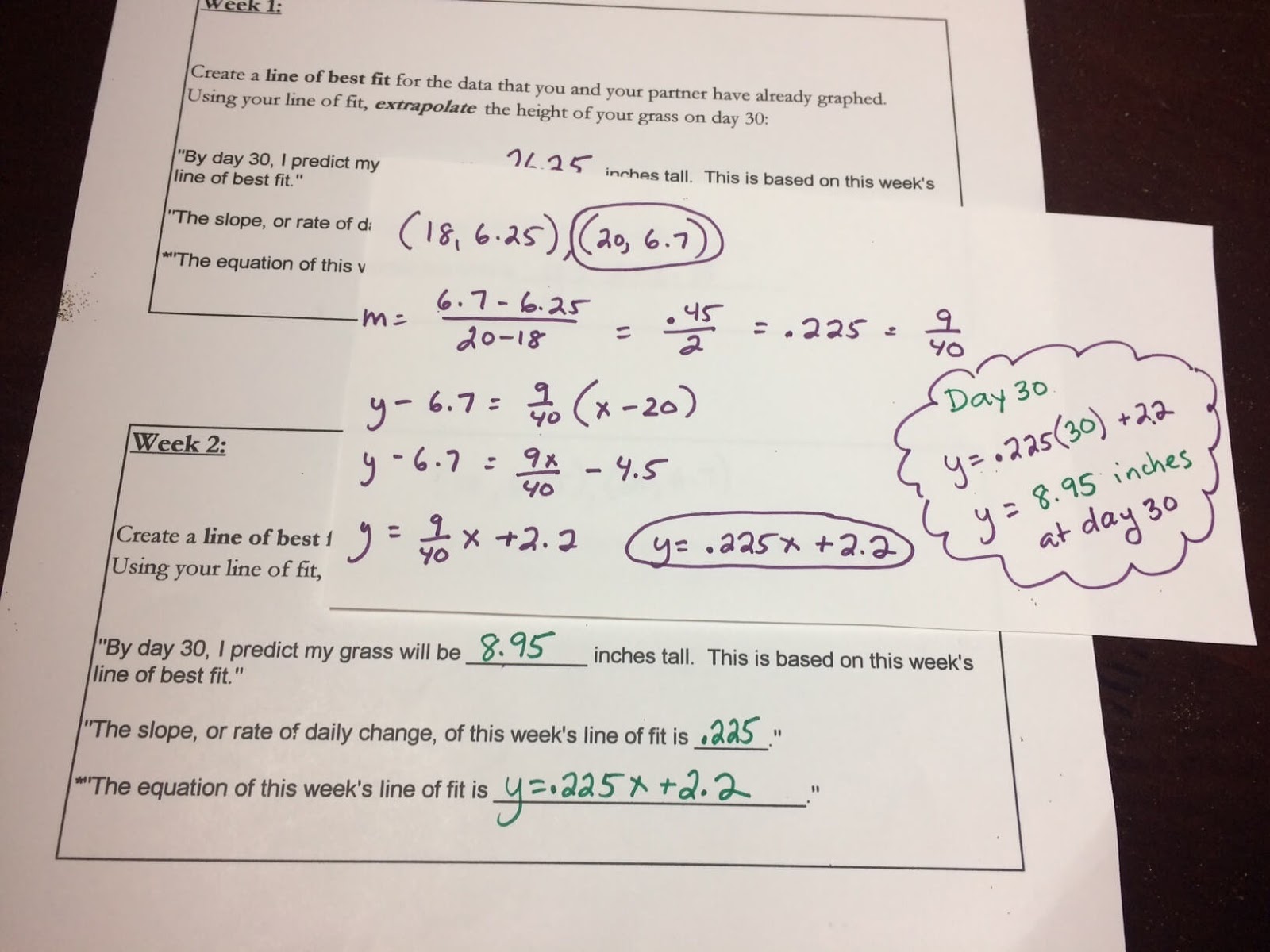 Scaffolded Math and Science Graphing Grass Linear Equations Project