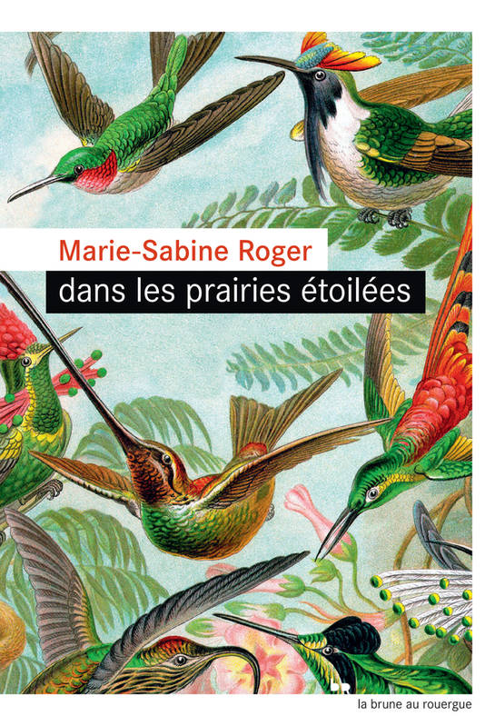 Dans les prairies étoilées  - Marie-Sabine Roger