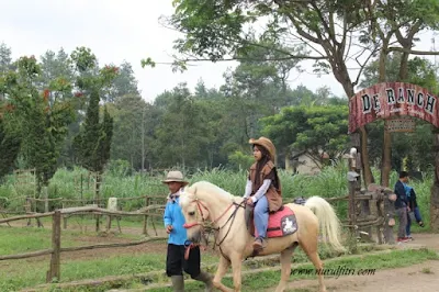 Berkuda di de' Ranch Lembang