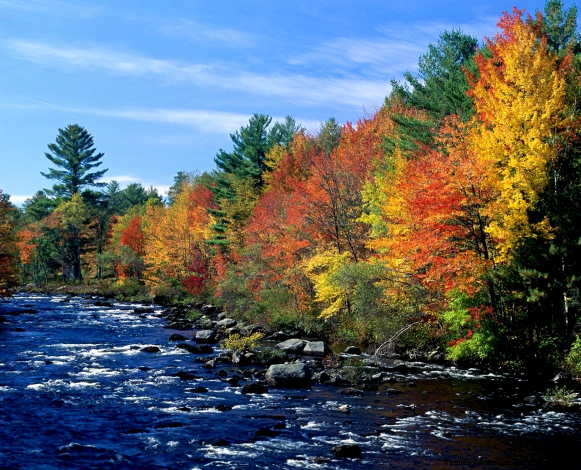 High Resolution Nature Images Free Download Hd Desktop 10 HD