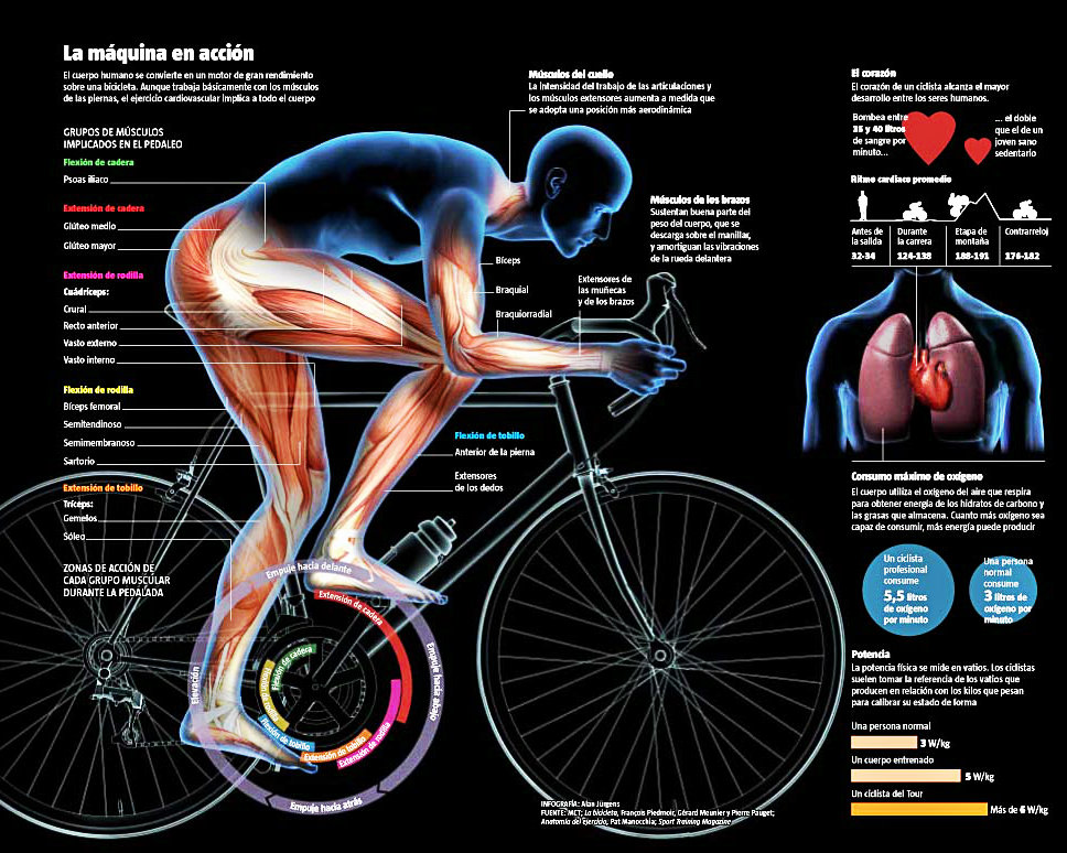 conocete a ti mismo y reinventate Beneficios de correr en bicicleta! Cuida tú salud y el