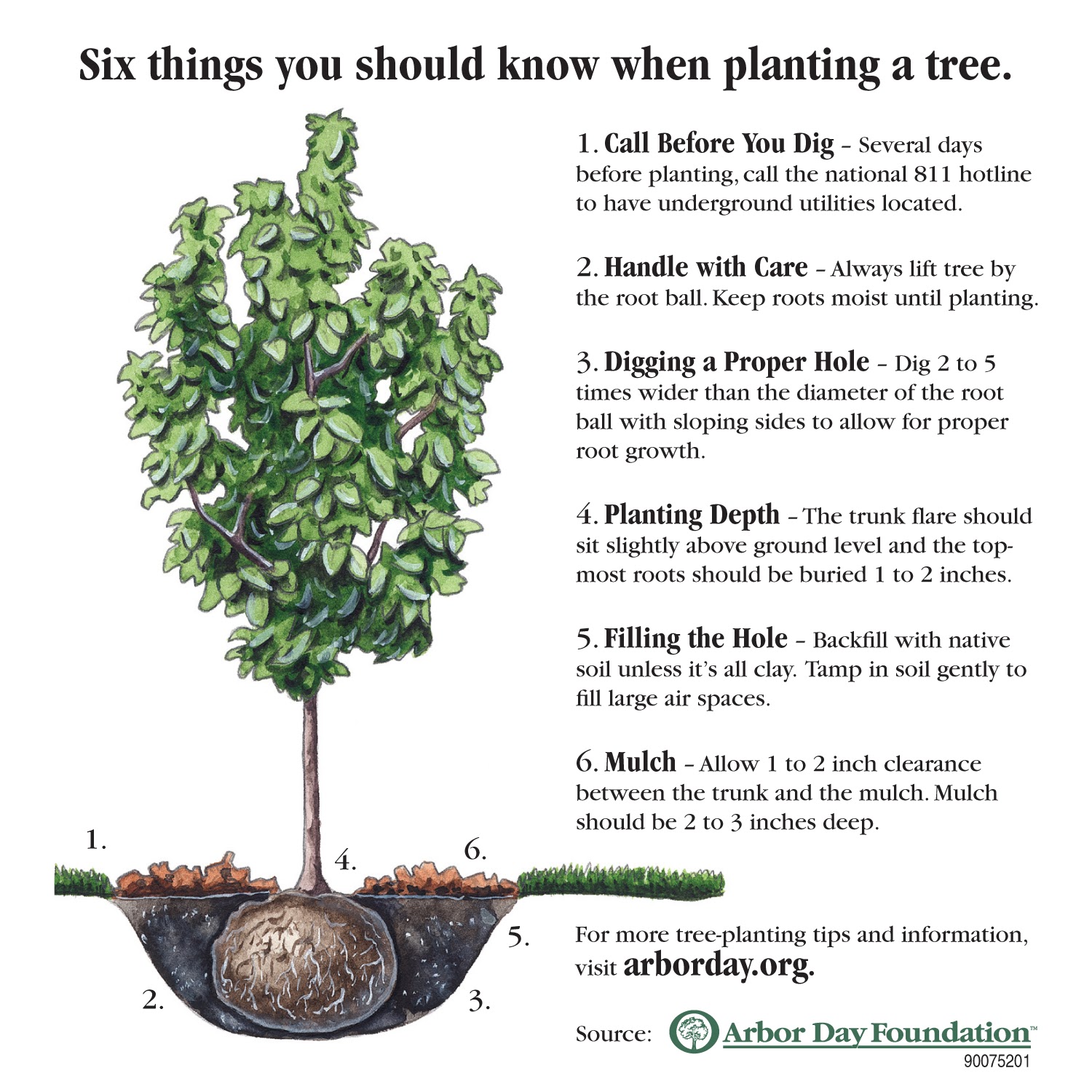 Edge of Insanity #EarthDay & #ArborDay  It's not just for kids!