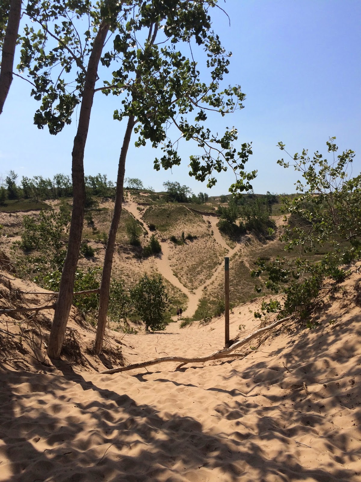 {Traverse City State Park} Camping July 1720 When Hello