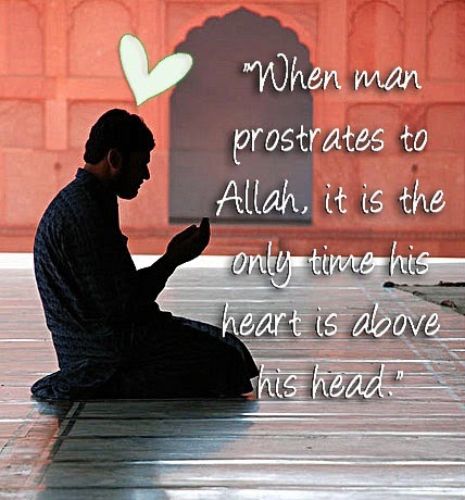 Islamic Wisdom Quotes - Articles about Islam