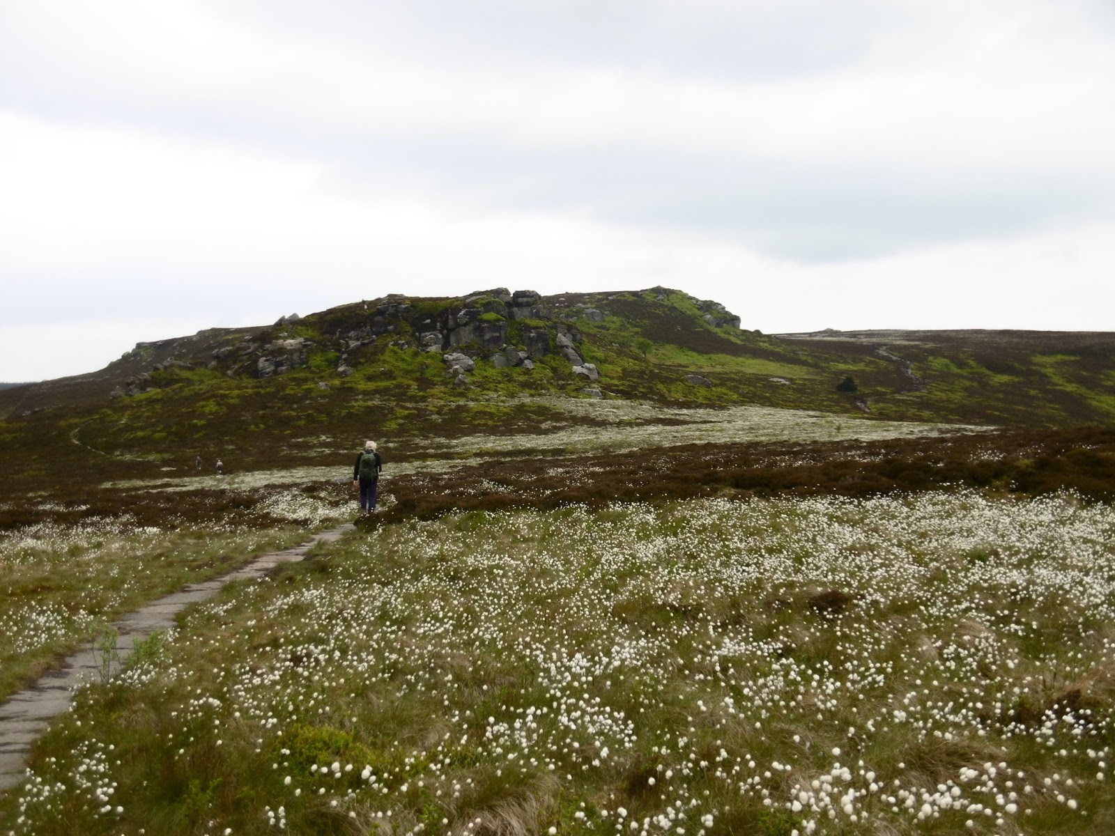 Dawn's pages: Simonside hills.